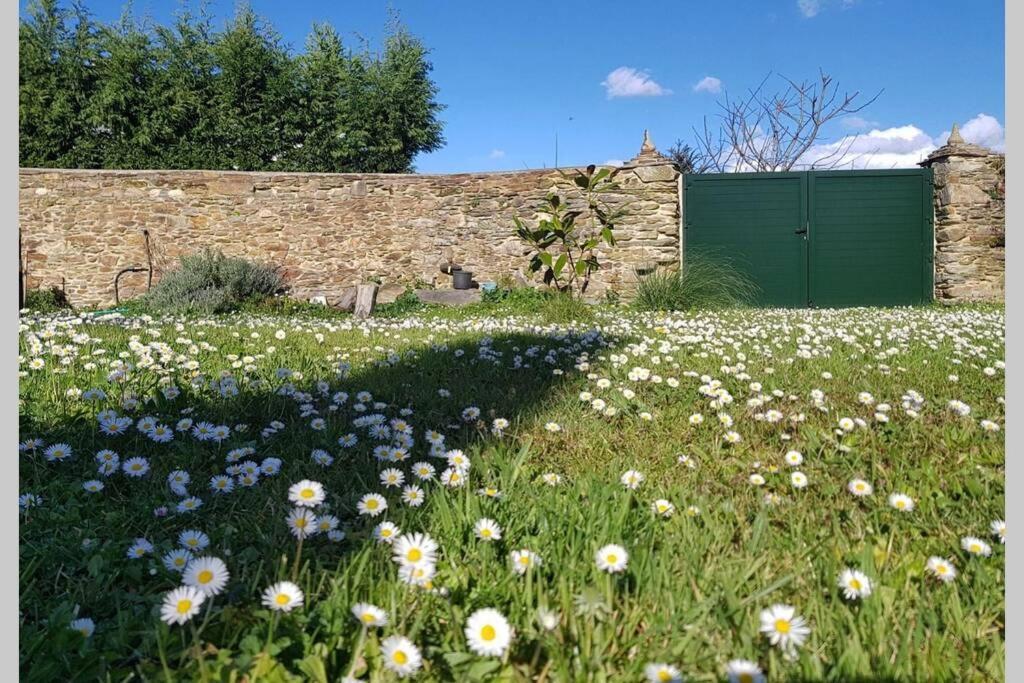 Estudio Pajar Rural Con Bonito Jardin - Los Gayoles Rural Castropol Εξωτερικό φωτογραφία